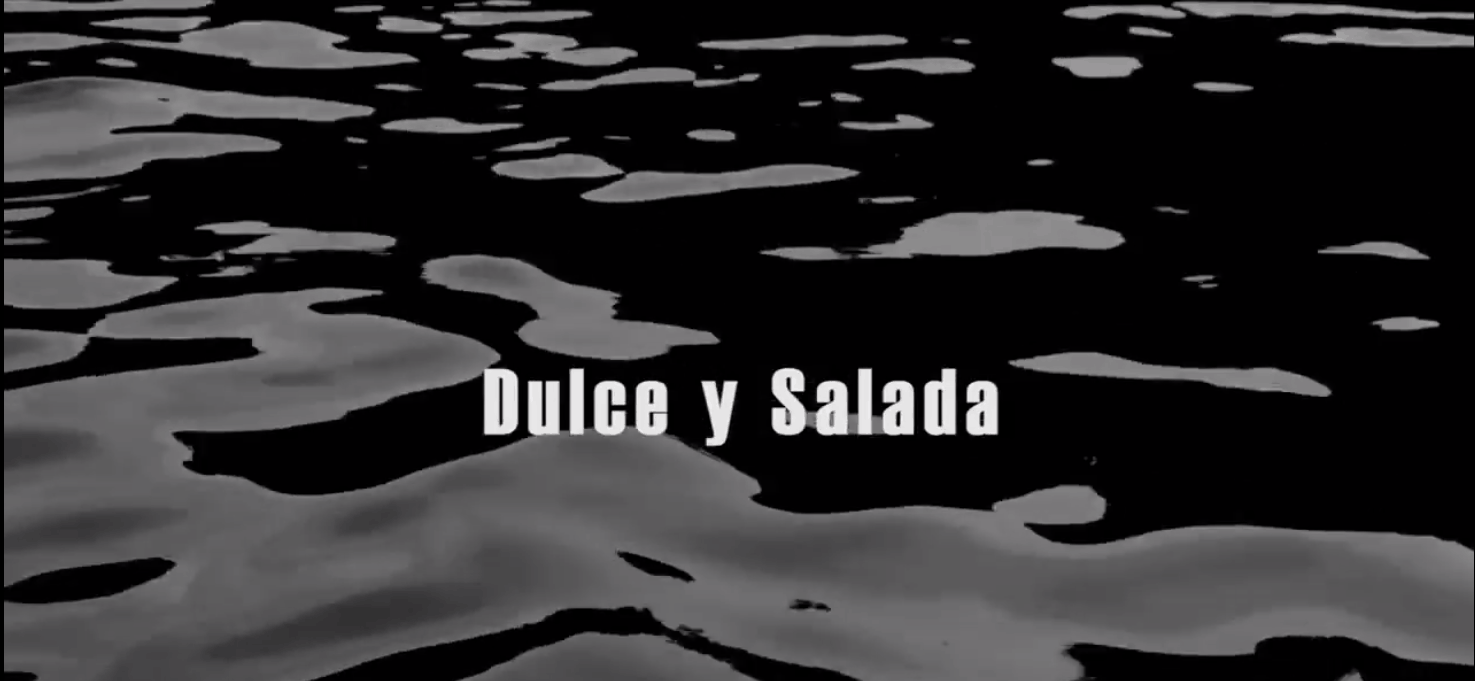 Muestra Dulce y Salada