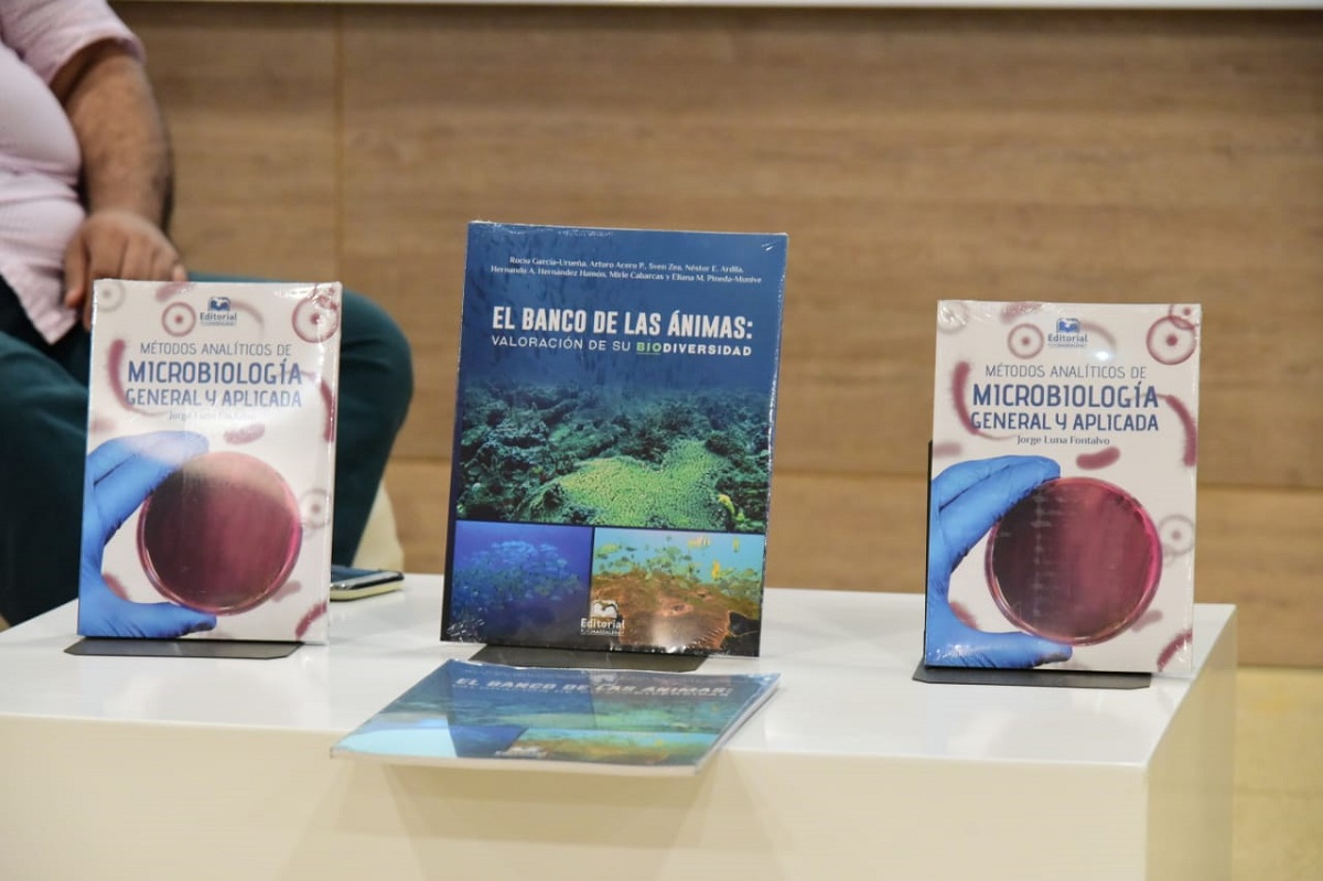 A través de una pantalla, se capturó el inicio de la segunda versión de FilSMar