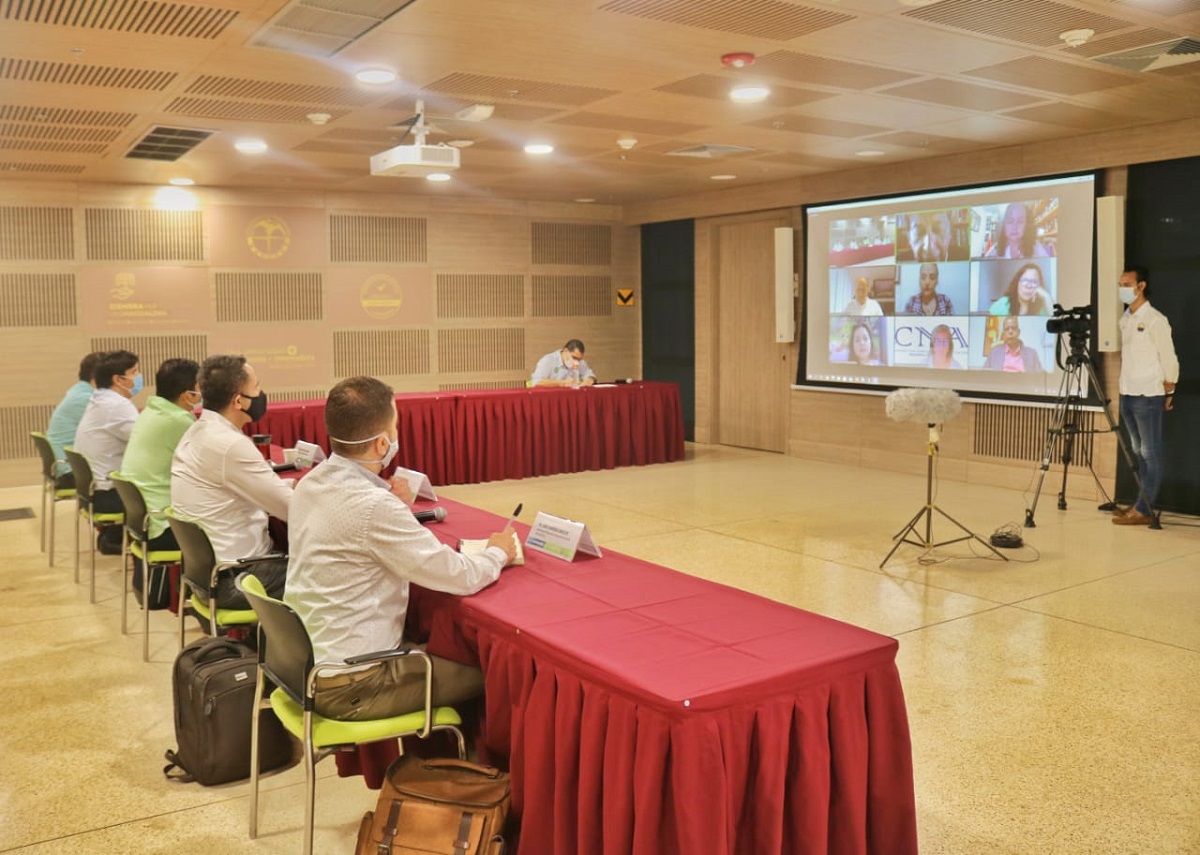 De manera satisfactoria culminó evaluación externa de pares del CNA a UNIMAGDALENA