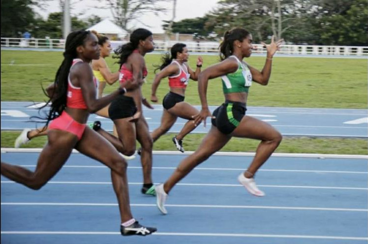 Oro, plata y bronce las medallas obtenidas por los atletas de alto rendimiento de UNIMAGDALENA