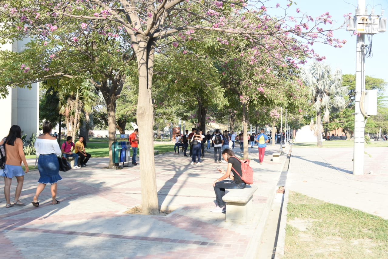 Actividades académicas del periodo 2019-1 iniciaron en UNIMAGDALENA