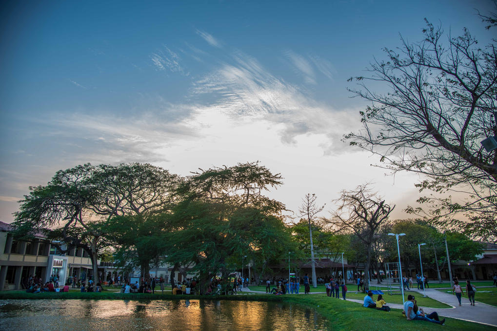 Campus universitario