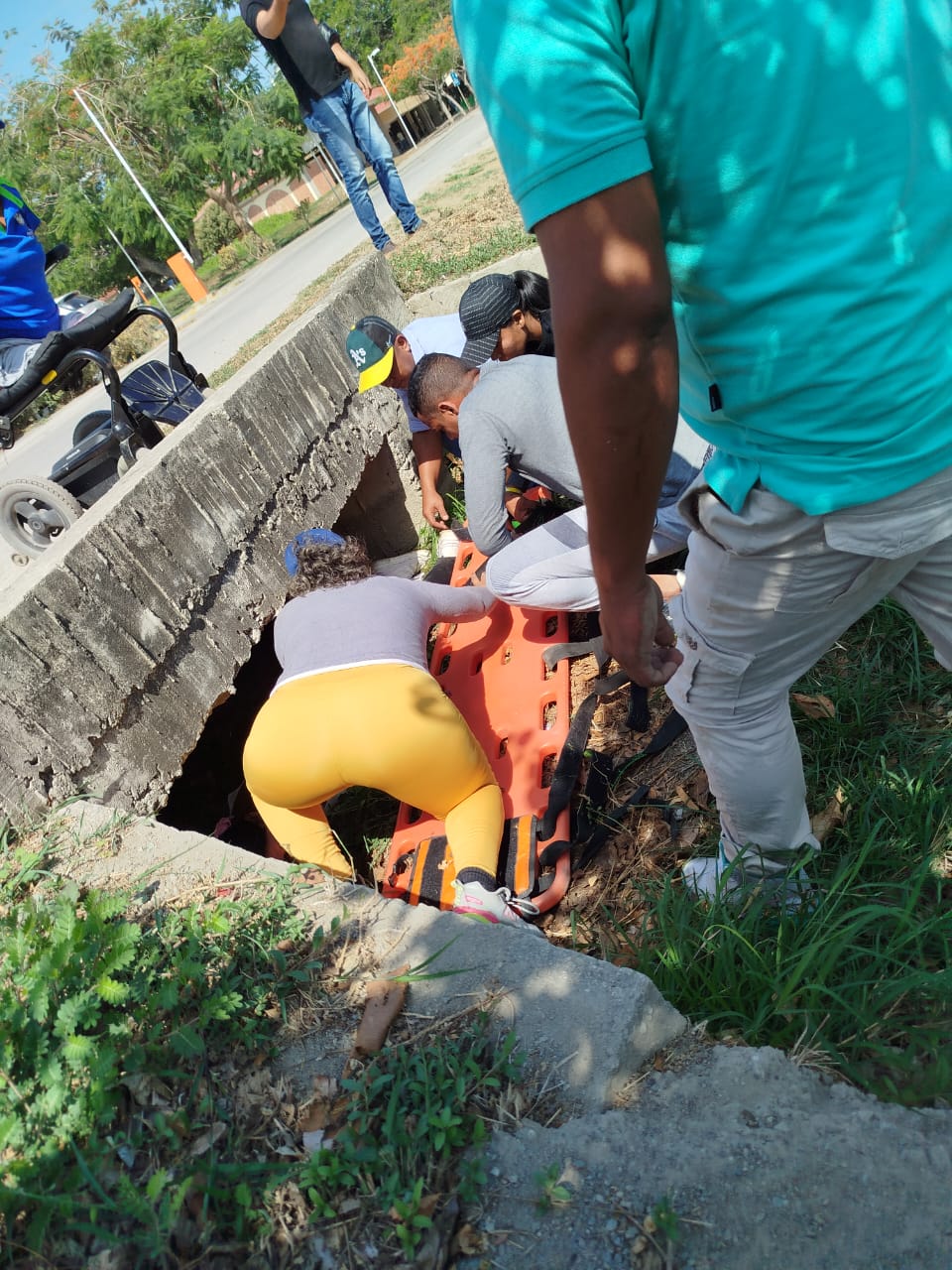 Casi todas las compañías de transporte de la capital de Bastidas, la brigada de la Empresa de Servicios Públicos del Distrito de Santa Marta -ESSMAR-,