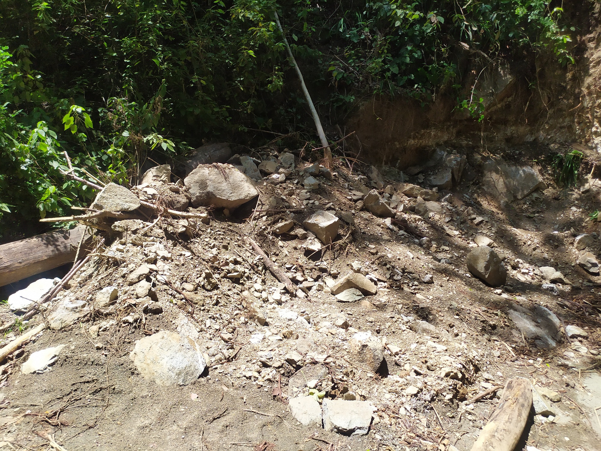 VEREDA.ESPERANZA.UNIMAGDALENA.3