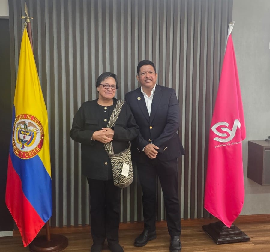 UNIMAGDALENA.GESTIÓN.SAE.2