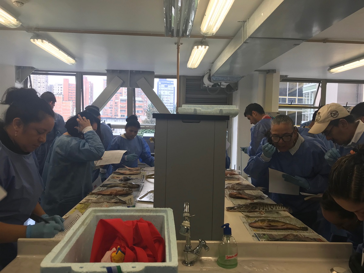 UNIMAGDALENA realizó jornadas de capacitación a colectores y supervisores del Servicio Estadístico Pesquero Colombiano – SEPEC
