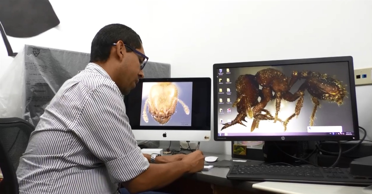 doctor en Zoología, Roberto Guerrero Flórez