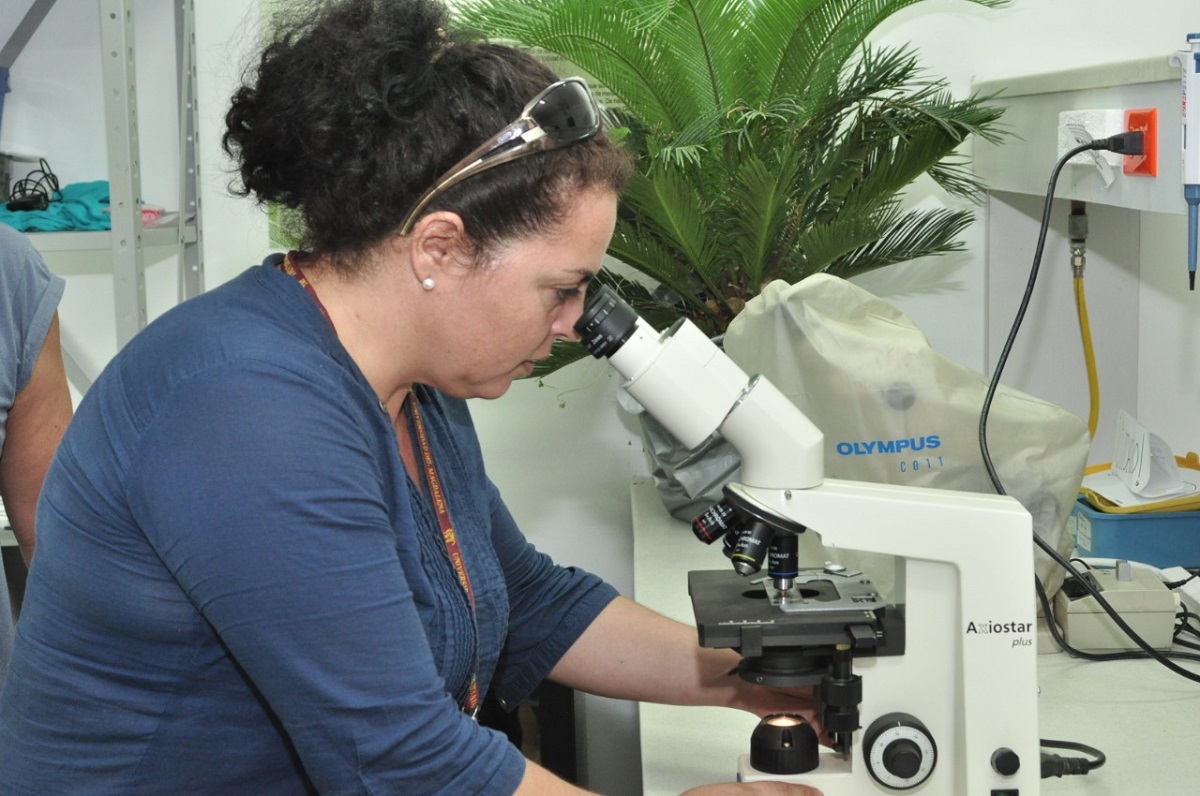 UNIMAGDALENA ratifica alta calidad en clasificación nacional de grupos de investigación e investigadores