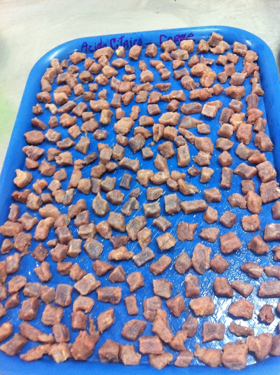 En UNIMAGDALENA crean dulces de carne de pescado, cerdo, pollo y res