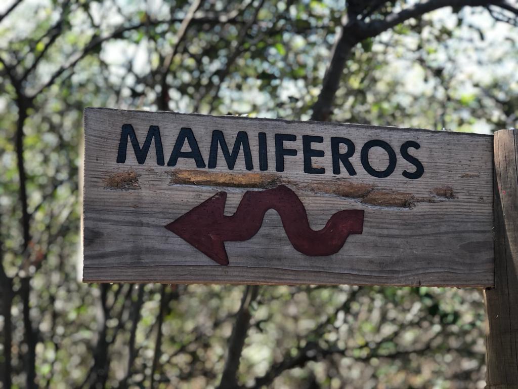 Bosque seco de UNIMAGDALENA: beneficio ecosistémico para Santa Marta