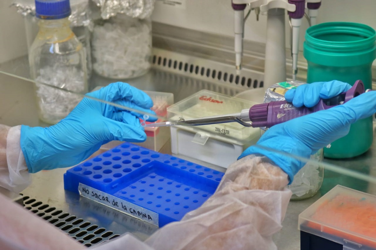 UNIMAGDALENA sigue avanzando en el proceso de habilitación y certificación de su laboratorio de Biología Molecular