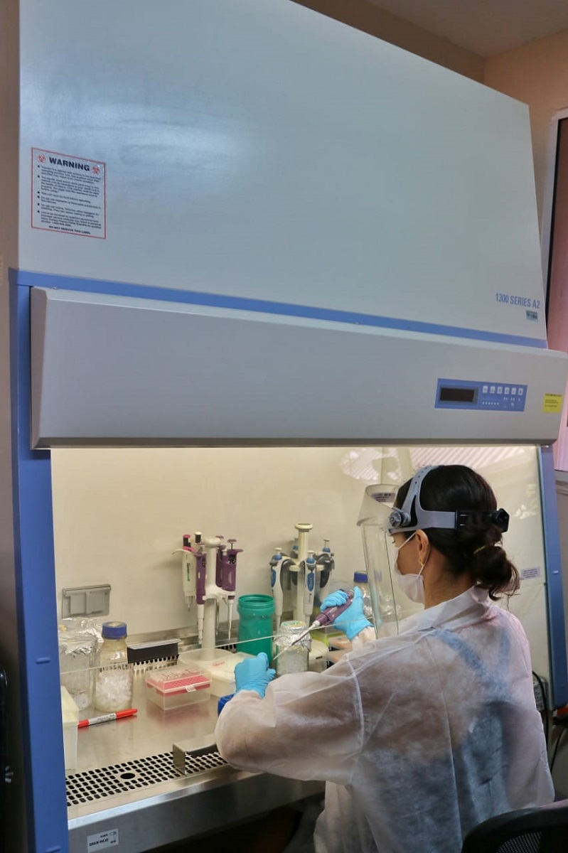 UNIMAGDALENA sigue avanzando en el proceso de habilitación y certificación de su laboratorio de Biología Molecular
