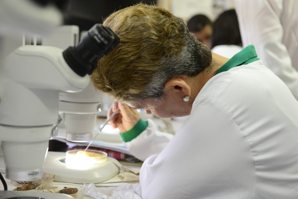 Mejorando la categorización de grupos e investigadores