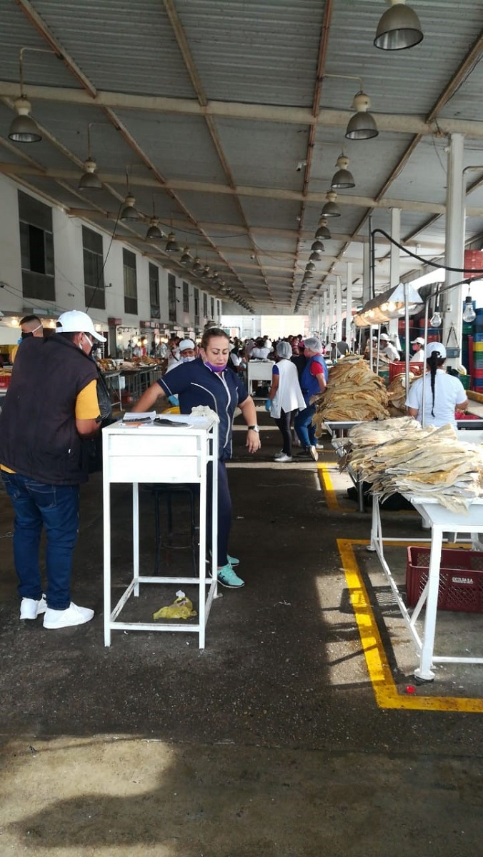 AUNAP y UNIMAGDALENA informan sobre abastecimiento y dinámica de precios de productos pesqueros en Colombia