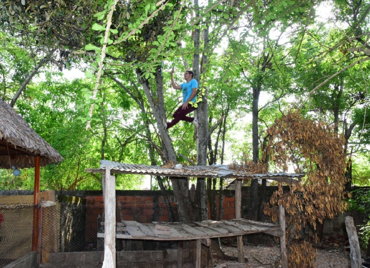Tomás ya no tendrá que subirse al un árbol para asistir a clases