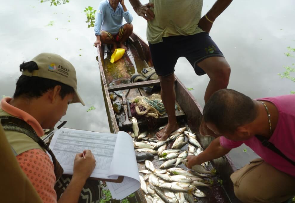 Autoridad Nacional de Acuicultura y Pesca – AUNAP y UNIMAGDALENA suscriben alianza interinstitucional