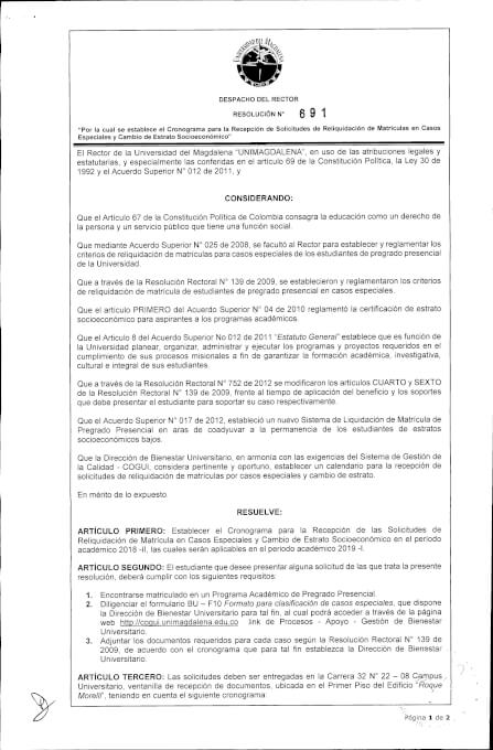 Resolución 691