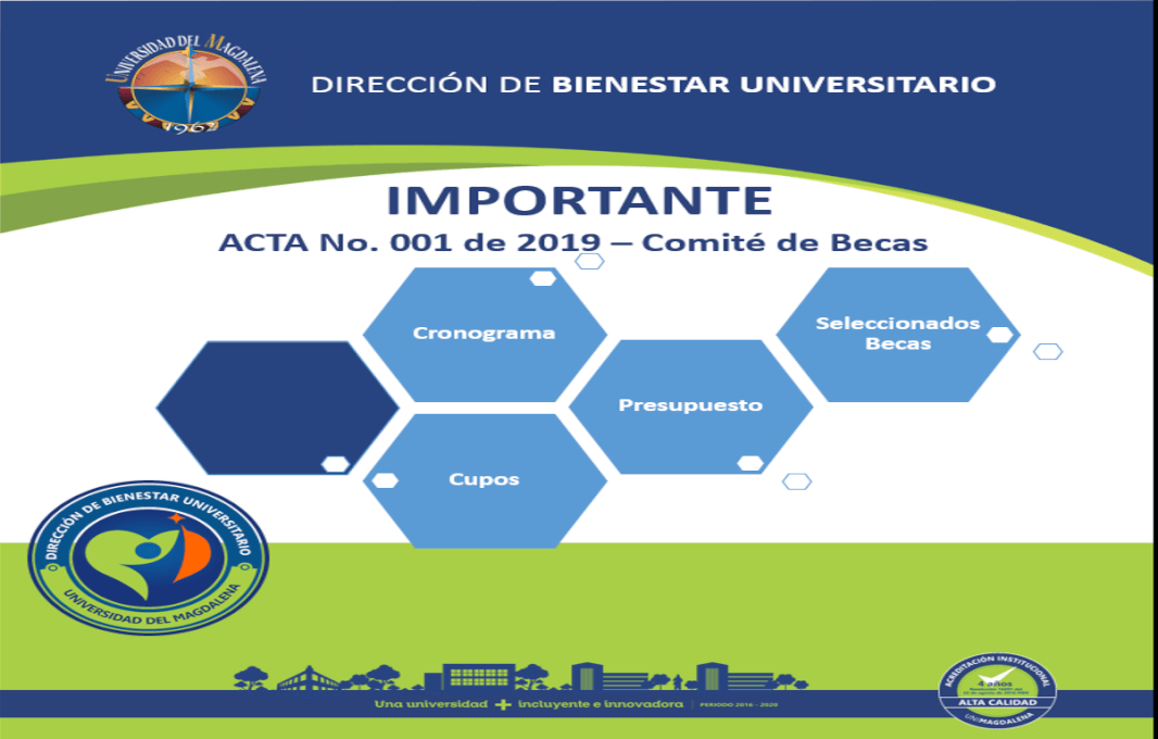 ACTA N° 001-2019 DEL COMITÉ DE BECAS