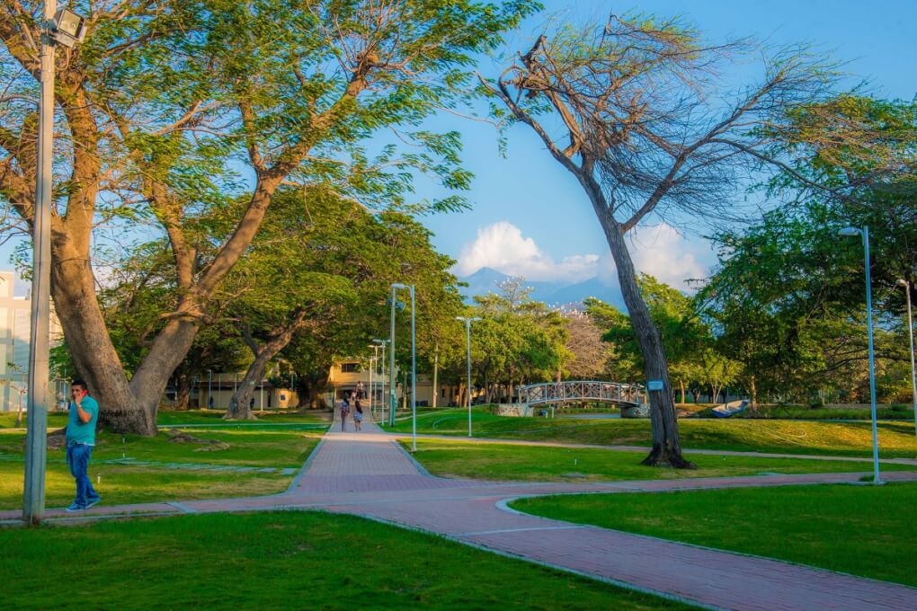 Comunidad universitaria optimista frente a Política de Sostenibilidad de UNIMAGDALENA