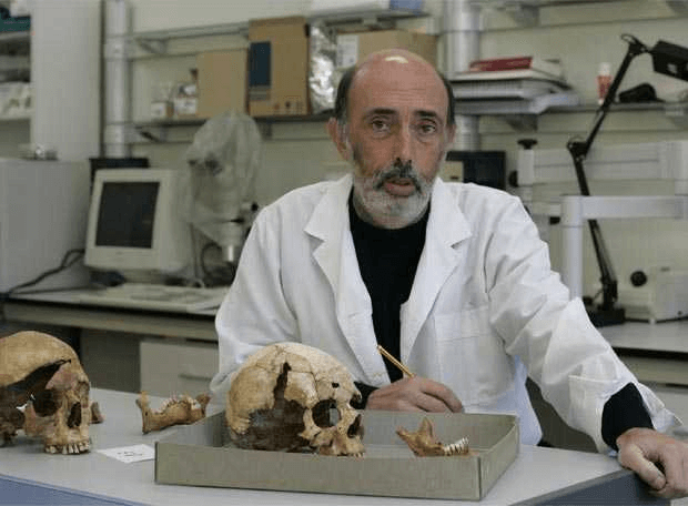 Profesor Titular de Medicina Legal y Forense de la Facultad de Medicina de la Universidad del País Vasco en la que imparte docencia ininterrumpida desde el curso académico.