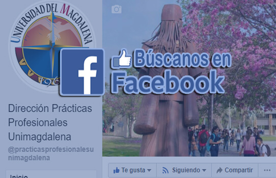 Facebook Page