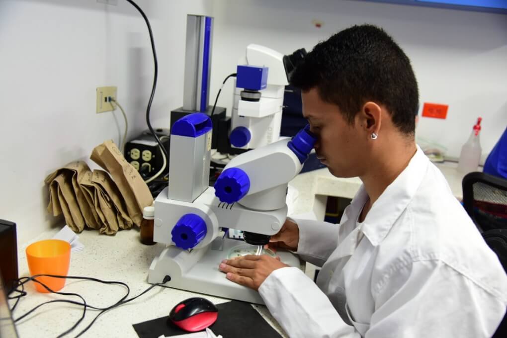 Ministerio de Educación otorgó a Programa de Biología de UNIMAGDALENA la renovación de Acreditación de Alta Calidad