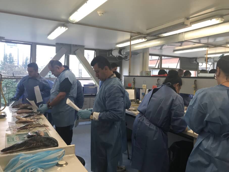 UNIMAGDALENA realizó jornadas de capacitación a colectores y supervisores del Servicio Estadístico Pesquero Colombiano – SEPEC