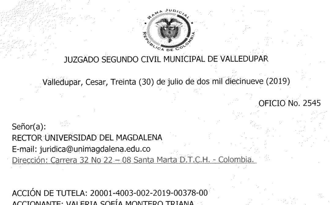 Sentencia de Primera Instancia Dentro de la Acción de Tutela de RADICACIÓN: 20001-4003-002-2019-00378-00