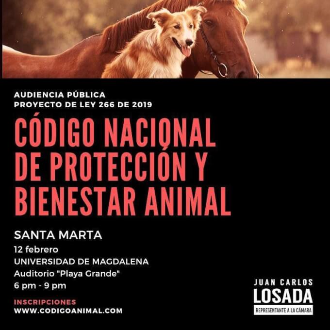 El futuro de la protección y bienestar animal se gesta en Santa Marta