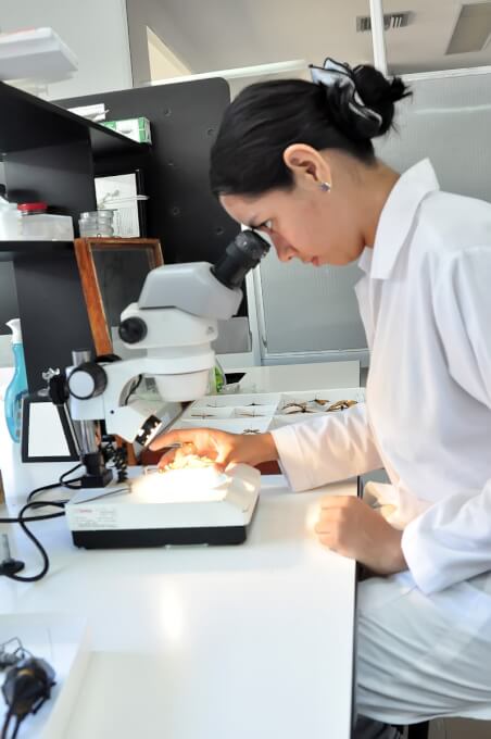 Con propuestas innovadoras, UNIMAGDALENA participa en #MinCienciatón