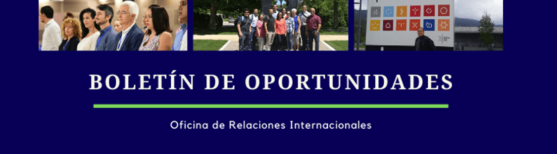 Boletín oportunidades
