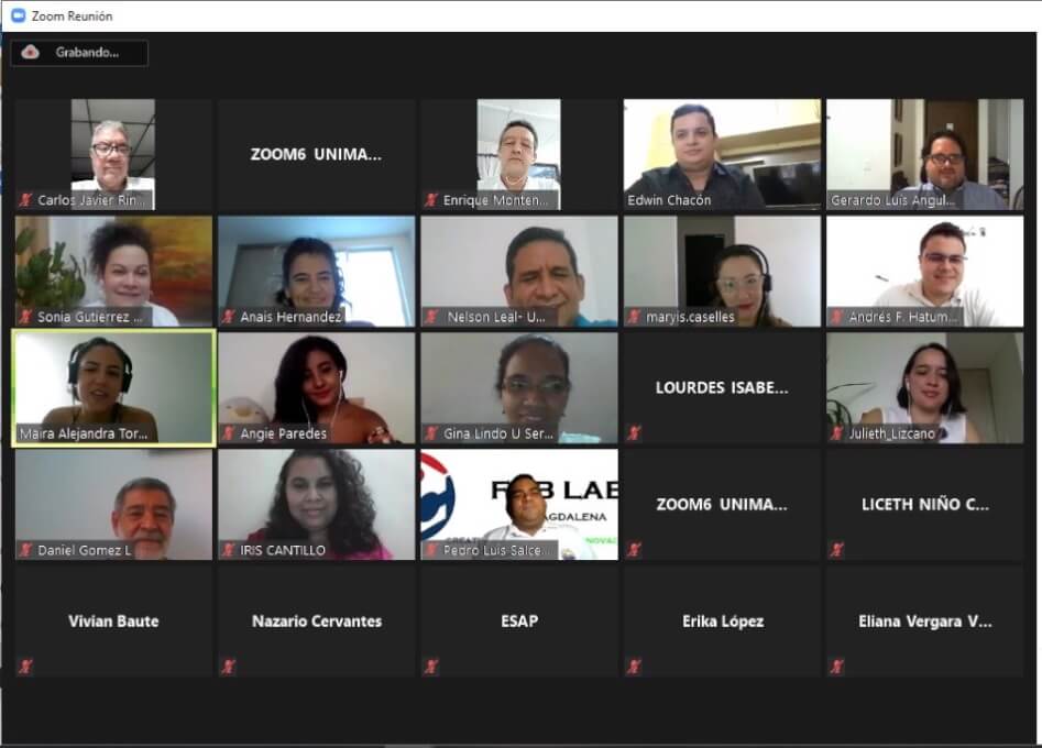 Instituciones de Educación Superior presentan al CUEE oferta académica para la reactivación económica