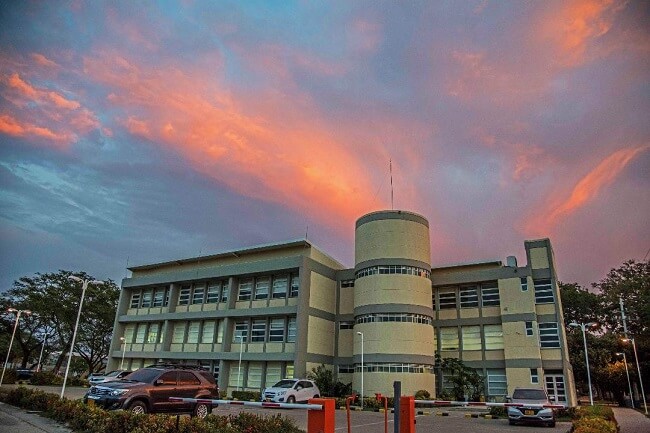 Docentes de UNIMAGDALENA elegidos consejeros académicos del ICANH