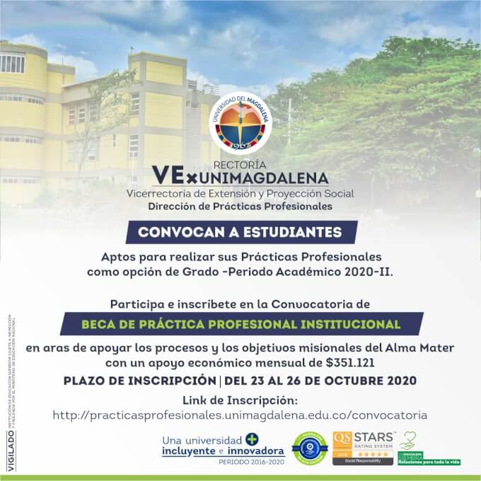 Beca de Práctica Profesional Institucional