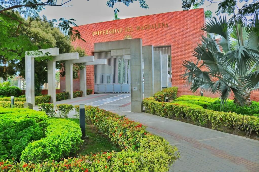 UNIMAGDALENA y DNP realizan investigación para generar índice de barreras de innovación pública en Colombia