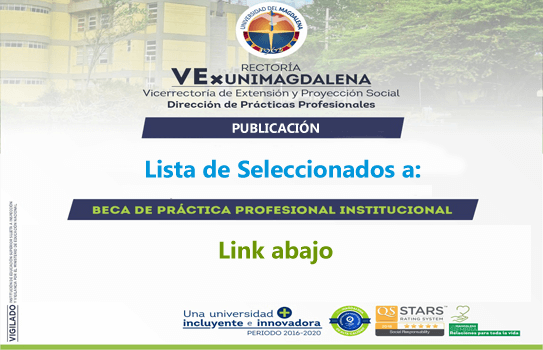 Beca de Práctica Institucionales Nov 2020