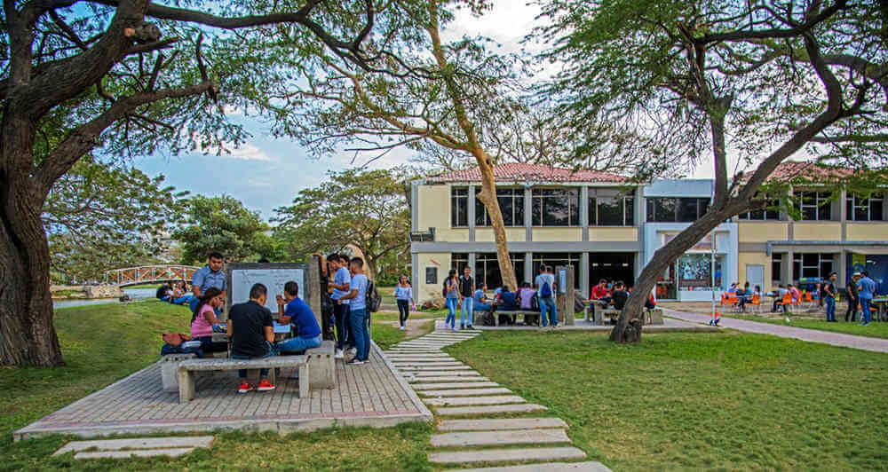 Estudiantes de UNIMAGDALENA, celebran alivio económico del 50% en el valor de la matrícula financiera