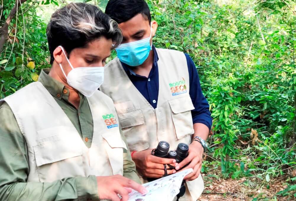 UNIMAGDALENA: ecosistema indispensable para la diversidad de aves en la región