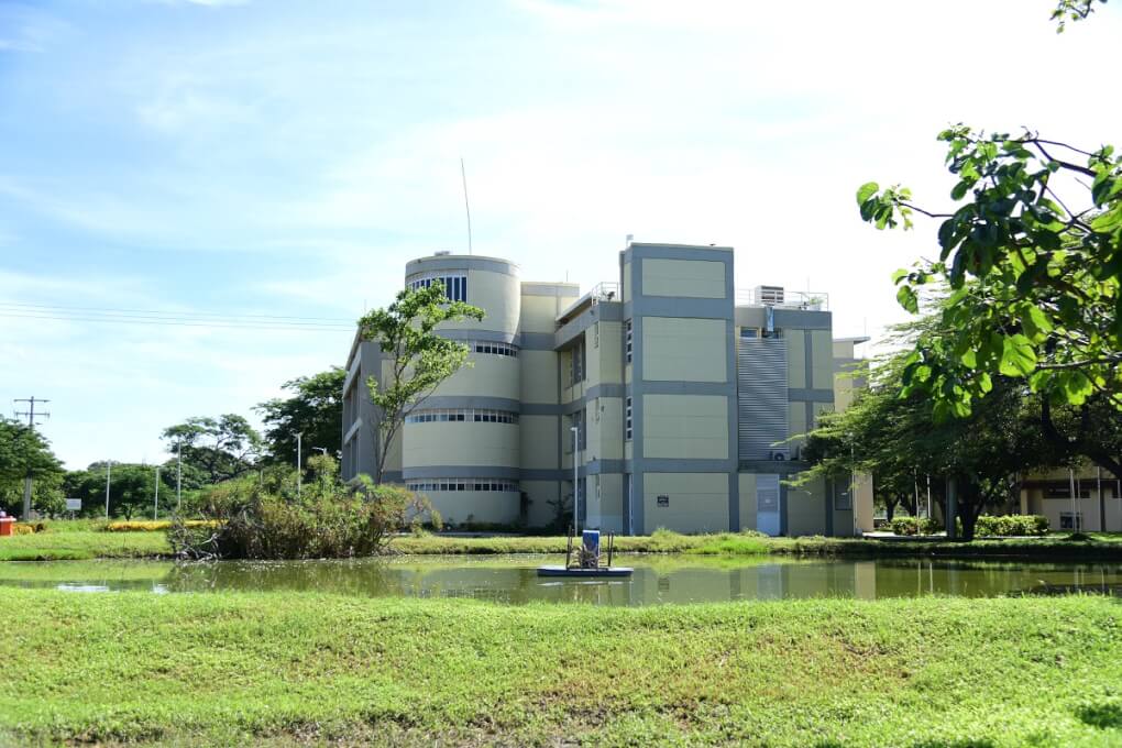 El COLECTIVO DE PROFESORES DE LA FACULTAD DE CIENCIAS DE LA EDUCACIÓN  DE LA UNIVERSIDAD DEL MAGDALENA