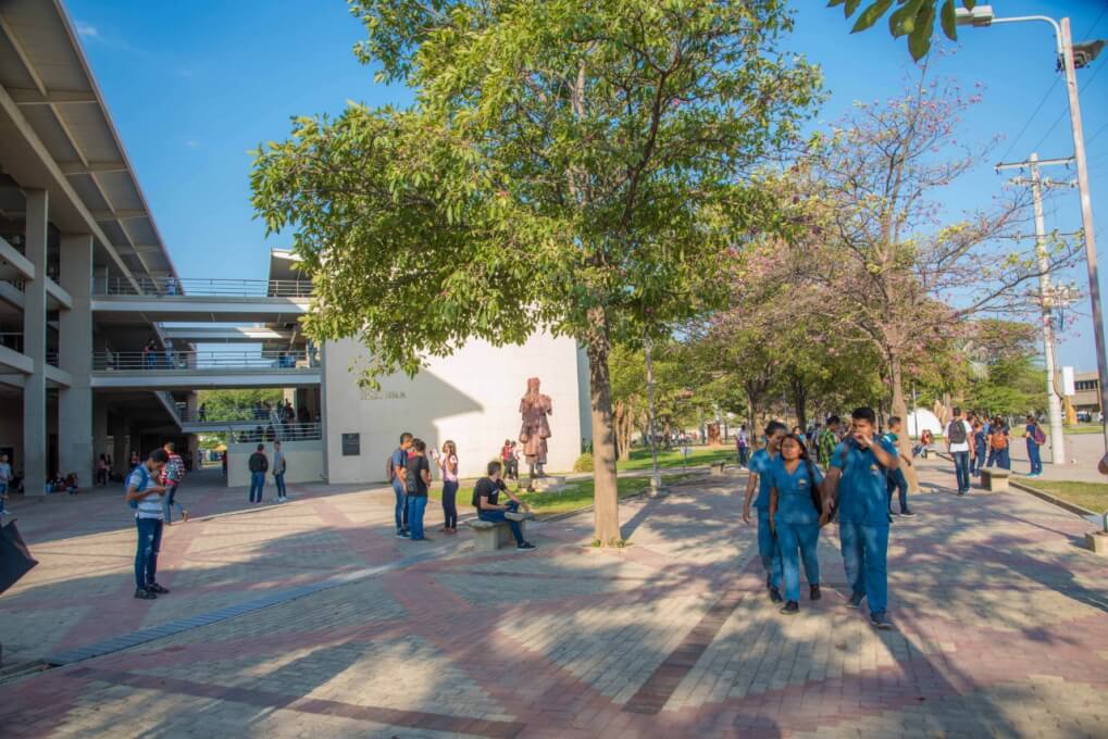 UNIMAGDALENA apuesta por una nueva generación de licenciados que impacten en el territorio