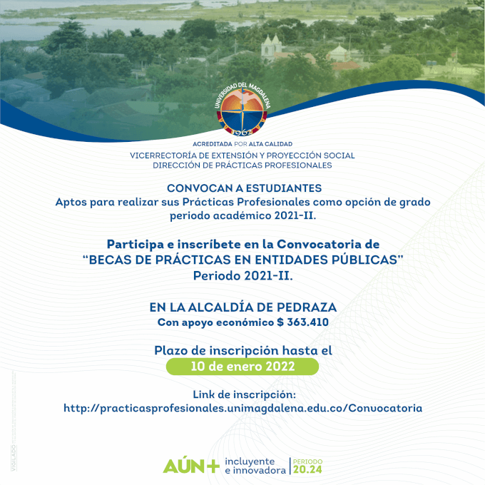 Dirección de Prácticas Profesional