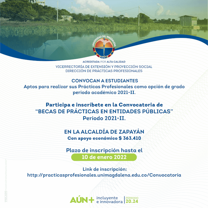 Dirección de Prácticas Profesional