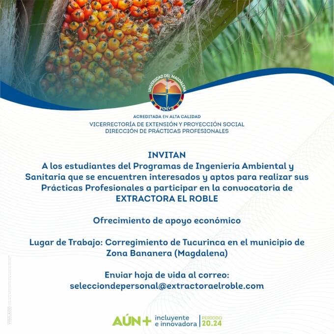 Dirección de Prácticas Profesionales