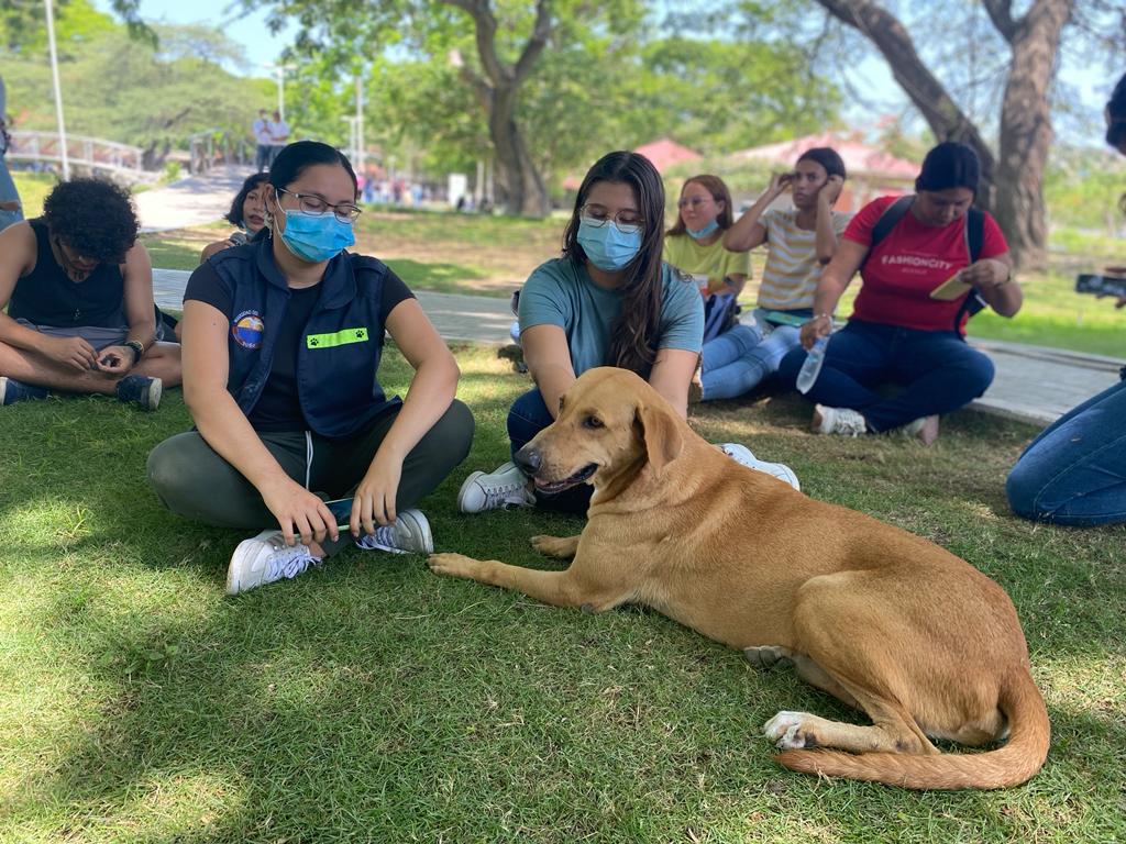 Las mascotas de UNIMAGDALENA se toman protagonismo en el Festival del Retorno