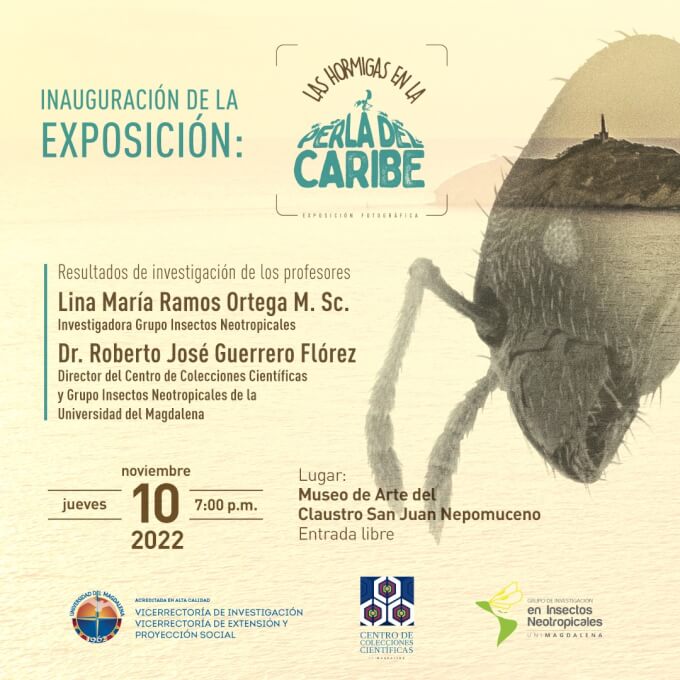 EXPOSICIÓN.HORMIGAS.EN.LA.PERLA.1: esta exposición es organizada por las vicerrectorías de Investigación y, Extensión y Proyección Social.
