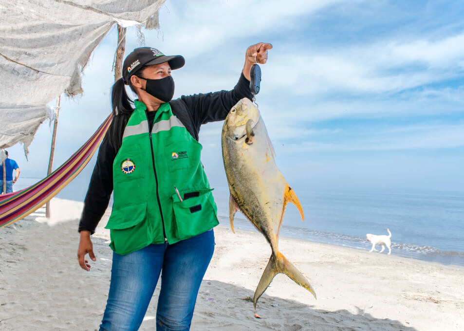 La AUNAP y UNIMAGDALENA reciben estas certificaciones que completan la certificación de las operaciones estadísticas que conforman el componente de pesca artesanal e industrial.
