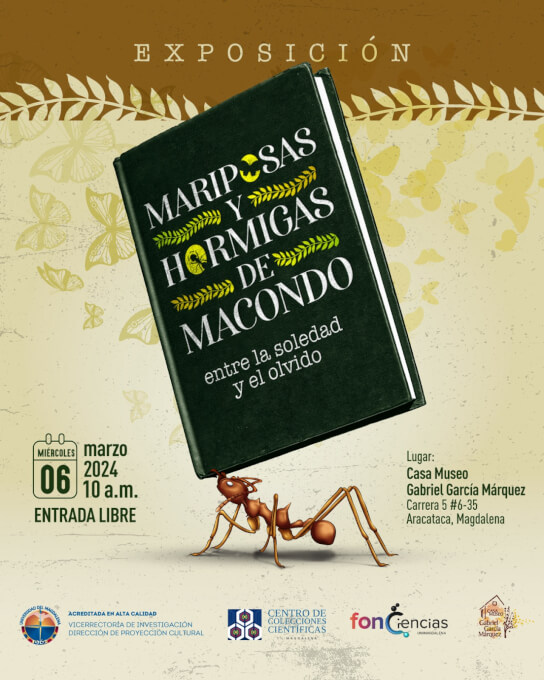 Mariposas y Hormigas de Macondo entre la soledad y el olvido
