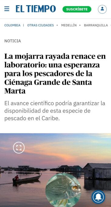 Reproducción de la mojarra rayada en cautiverio hasta su etapa larvaria,