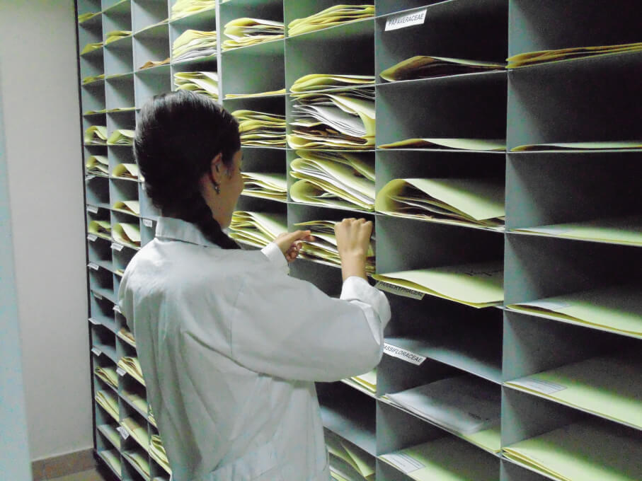 Auxiliar buscando información en archivo.