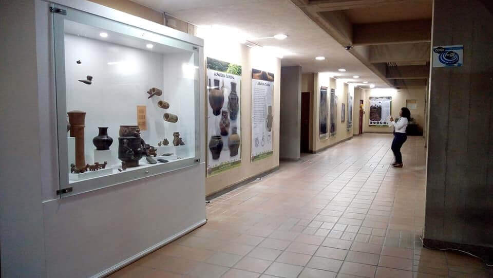 Campus Museo